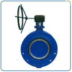 Dual Flanged Butterfly Valves